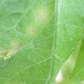 34003_20181205110332_01.JPG