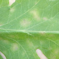 34003_20181205110639_01.JPG