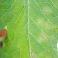 34003_20181205110917_01.JPG