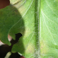 34004_20181001095713_01.JPG