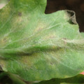 34004_20181001100134_01.JPG