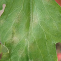 34004_20181001100218_01.JPG