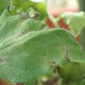 34004_20181001100255_01.JPG