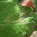 34004_20181001100418_01.JPG