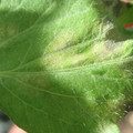 34004_20181001100420_01.JPG
