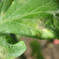 34004_20181001100426_01.JPG