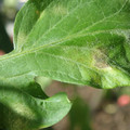 34004_20181001100427_01.JPG