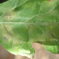 34004_20181001100500_01.JPG