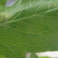 34004_20181001100517_01.JPG