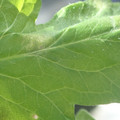 34004_20181001100518_01.JPG