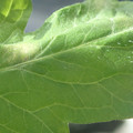 34004_20181001100520_01.JPG