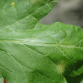 34004_20181001100715_01.JPG