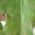 34004_20181001100726_01.JPG