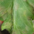 34004_20181001100909_01.JPG