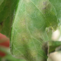 34004_20181001100929_01.JPG