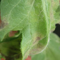 34004_20181001100945_01.JPG