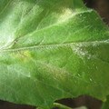 34004_20181001101156_01.JPG