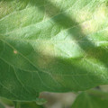 34004_20181001101208_01.JPG