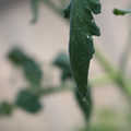 080001_20180328103140_03.JPG