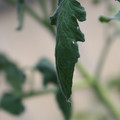 080001_20180328103142_01.JPG