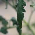 080001_20180328103143_01.JPG