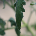 080001_20180328103143_02.JPG