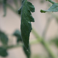 080001_20180328103145_01.JPG