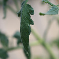 080001_20180328103146_01.JPG
