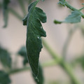 080001_20180328103146_02.JPG