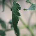 080001_20180328103146_03.JPG
