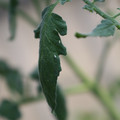 080001_20180328103147_01.JPG