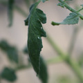 080001_20180328103147_02.JPG