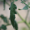 080001_20180328103148_01.JPG