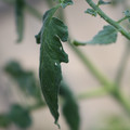 080001_20180328103149_01.JPG
