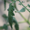 080001_20180328103150_01.JPG