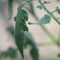 080001_20180328103150_02.JPG