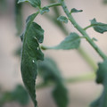 080001_20180328103151_01.JPG