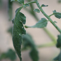 080001_20180328103151_02.JPG