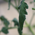 080001_20180328103156_02.JPG