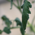 080001_20180328103157_01.JPG