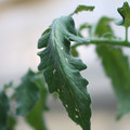 080001_20180328103206_01.JPG