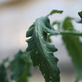 080001_20180328103206_02.JPG