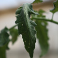 080001_20180328103213_02.JPG