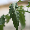 080001_20180328103213_03.JPG