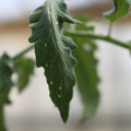 080001_20180328103214_02.JPG