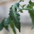 080001_20180328103218_02.JPG