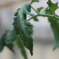 080001_20180328103219_01.JPG