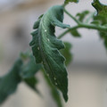 080001_20180328103220_02.JPG