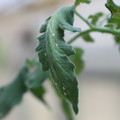 080001_20180328103221_01.JPG