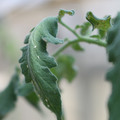 080001_20180328103223_01.JPG